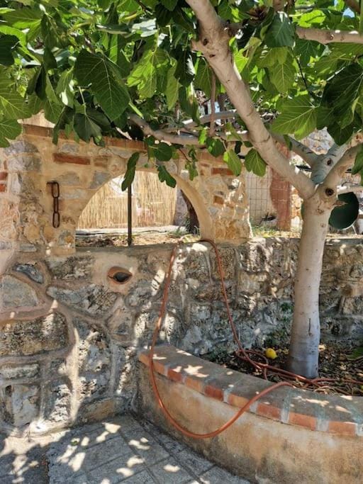 Cisterna - Loft con giardino Apartment in Basilicata