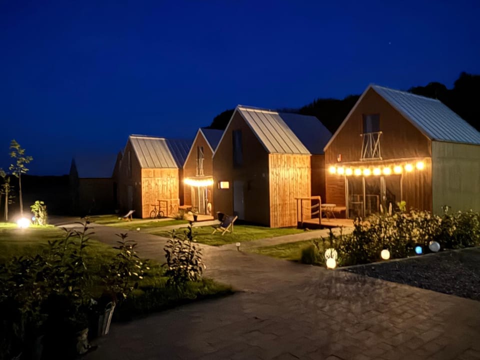 Property building, Night, Garden view