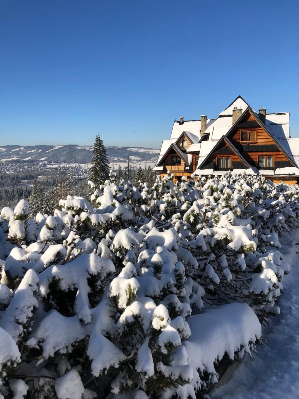 Property building, Winter