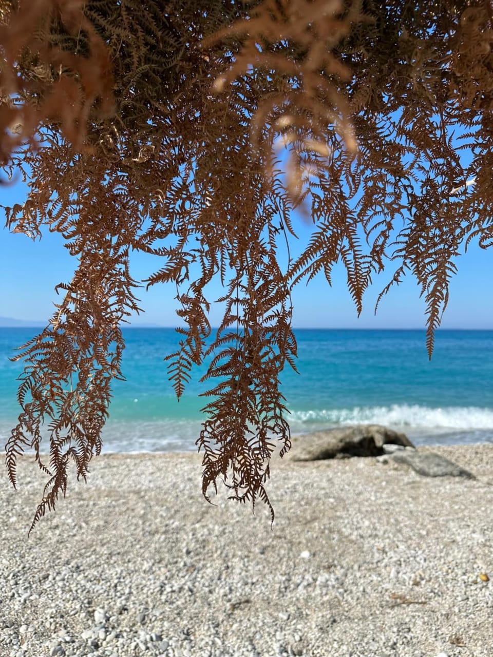 Villa Shega Apartment in Vlorë County, Albania