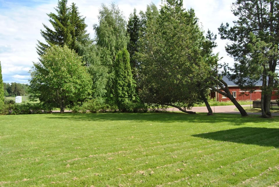 Natural landscape