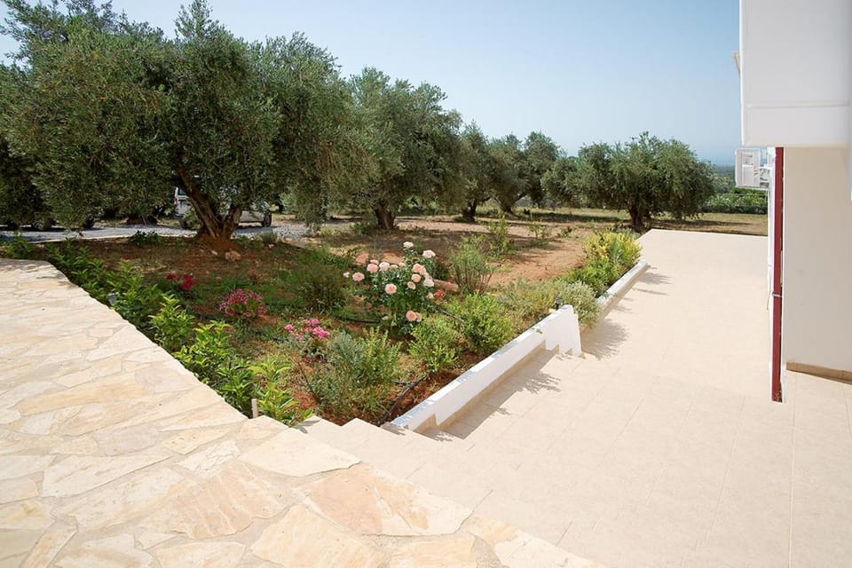 Garden, Garden view