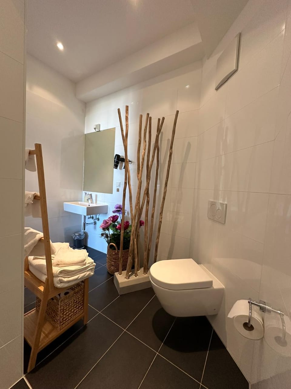 Shower, Toilet, Bathroom, hair dryier, towels