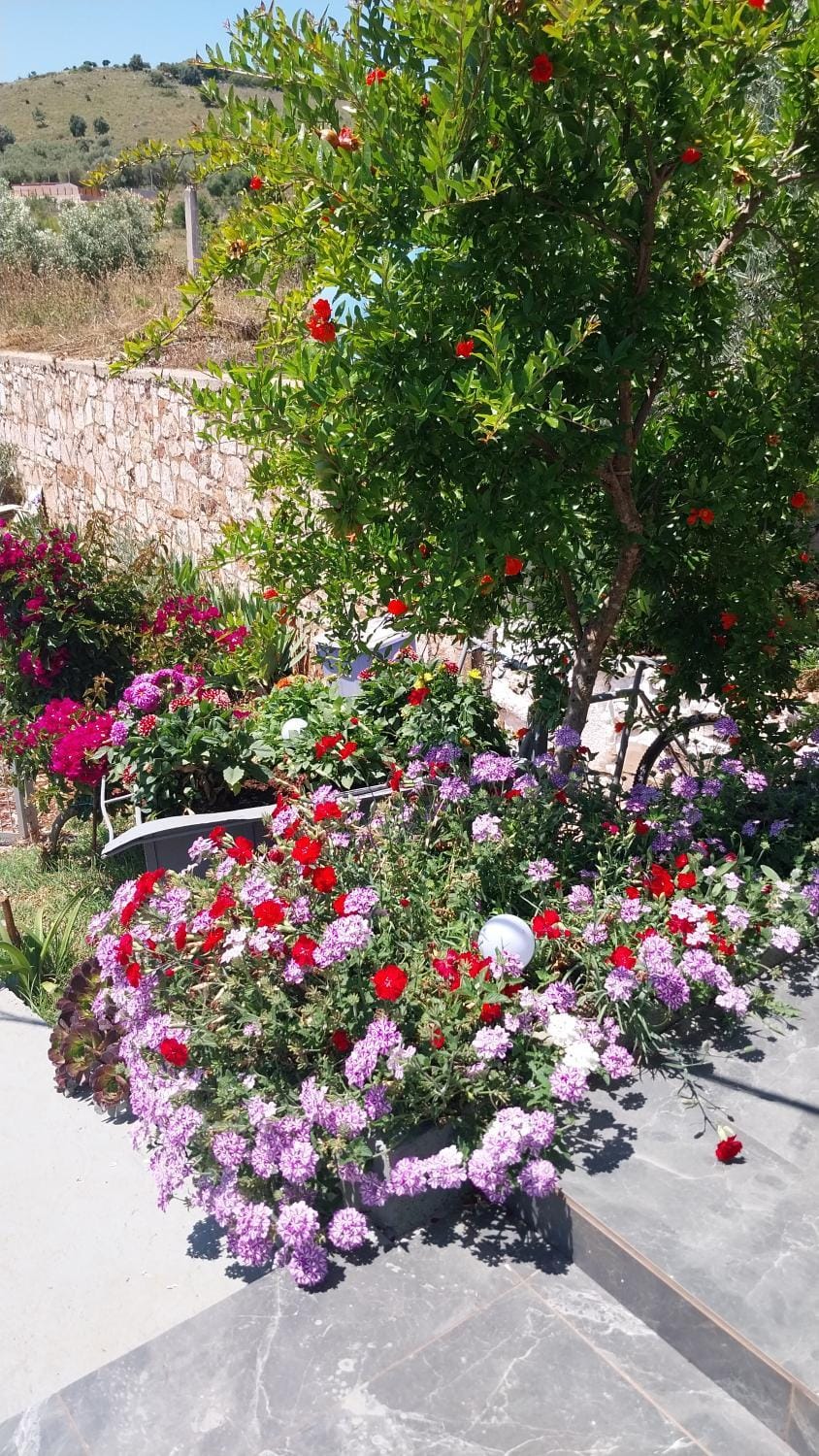 Vila Disha Ksamil Apartment in Ksamil