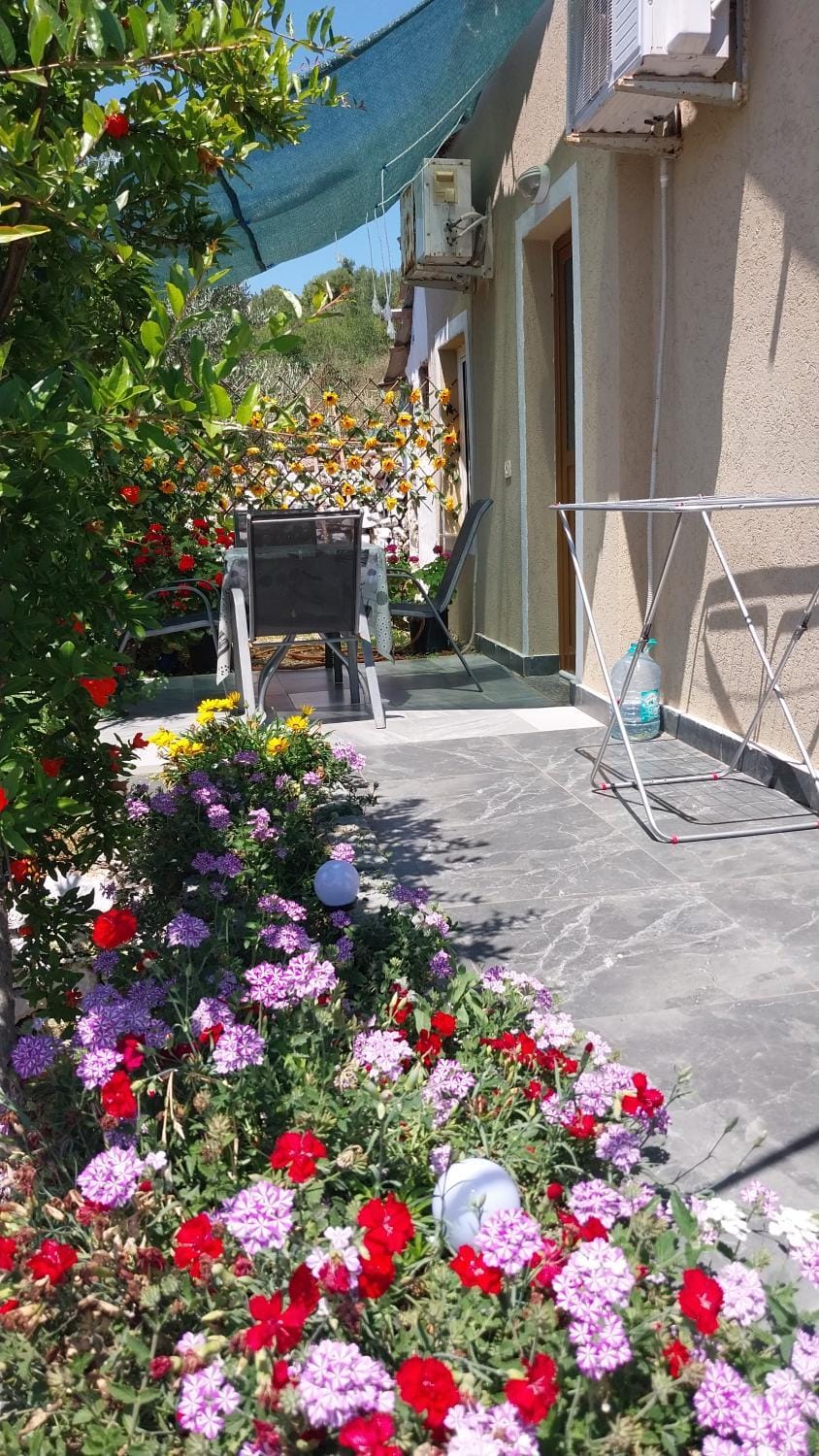 Vila Disha Ksamil Apartment in Ksamil