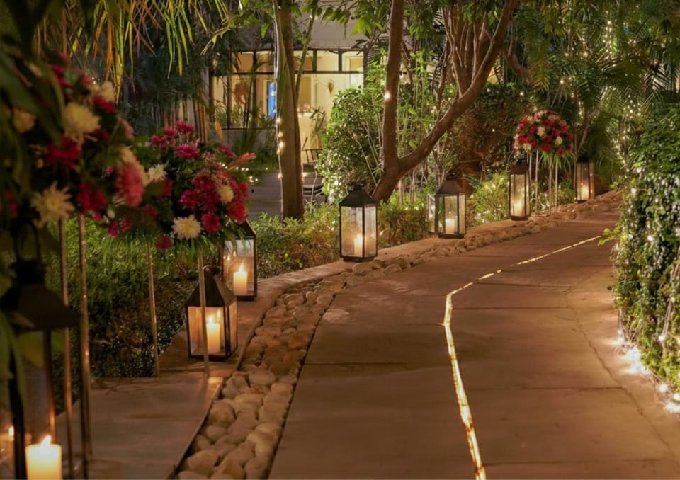 Night, Garden, Garden view