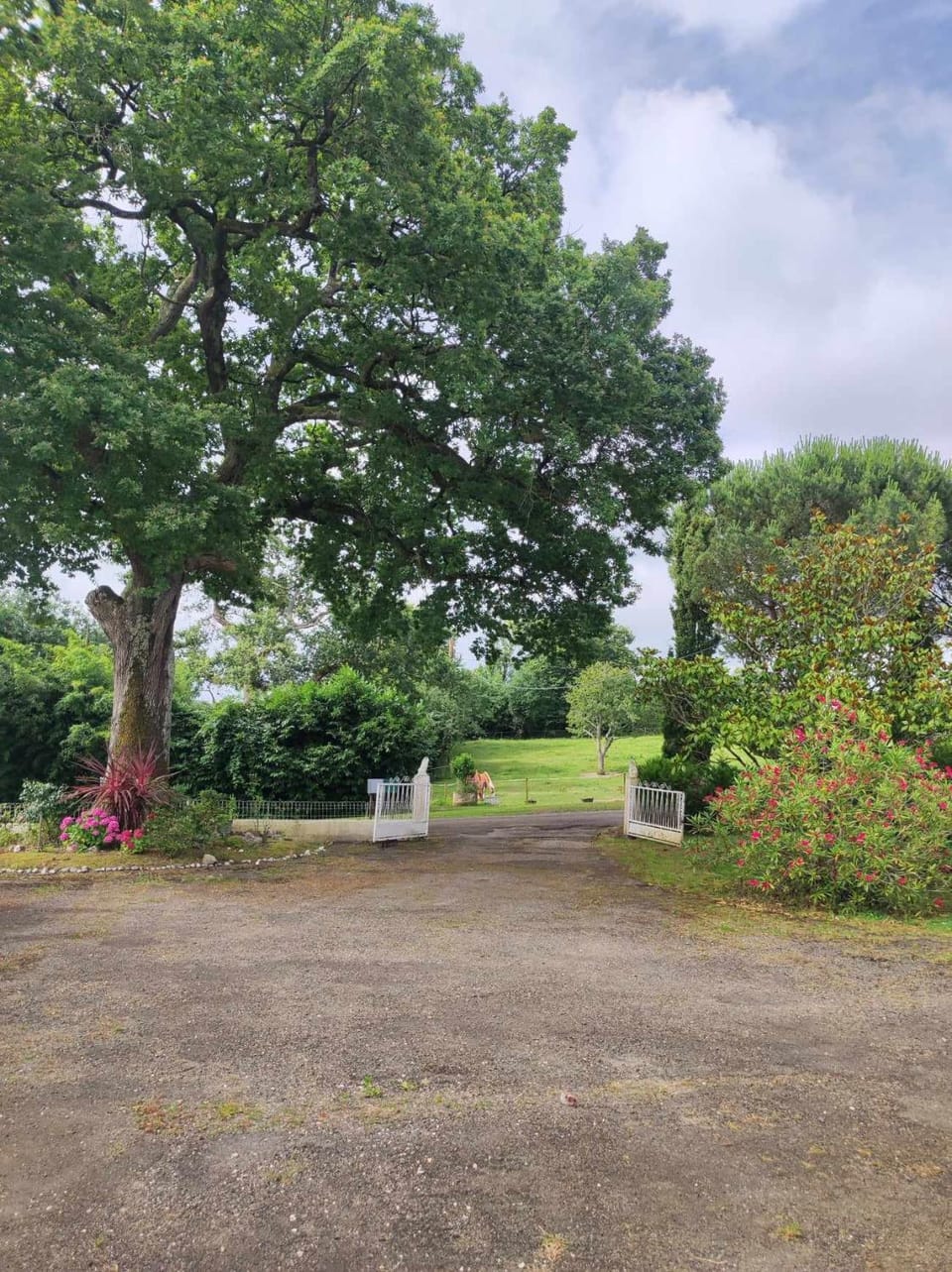 Natural landscape, Garden view