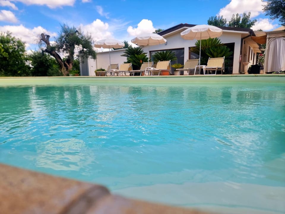 Pool view, Swimming pool