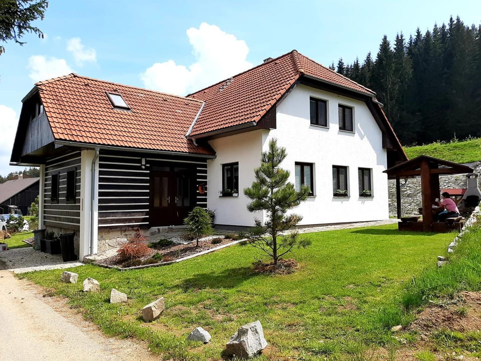 Prázdninový dům - Apartmány Vltavice Apartment in South Bohemian Region