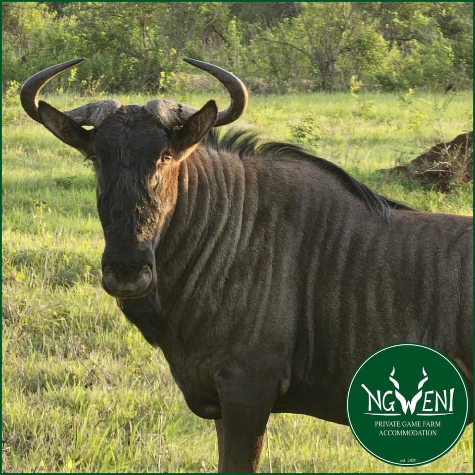 Weltevreden Family Cottage at Ngweni Private Game Farm Apartment in KwaZulu-Natal