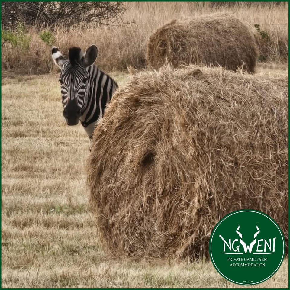 Weltevreden Family Cottage at Ngweni Private Game Farm Apartment in KwaZulu-Natal