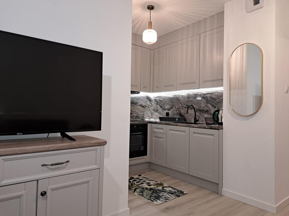 Kitchen or kitchenette, dishwasher, oven
