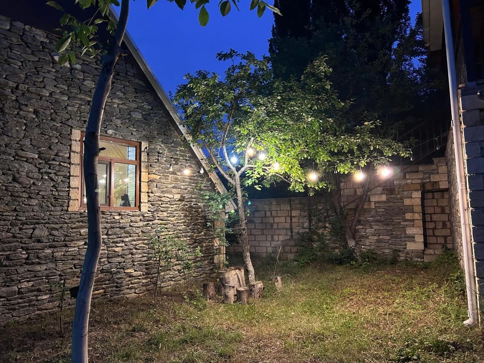 Night, Garden view