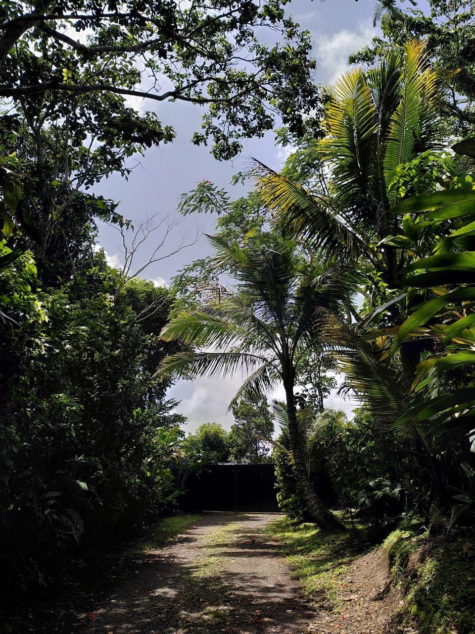Studio dans la forêt tropicale House in Les Trois-Îlets