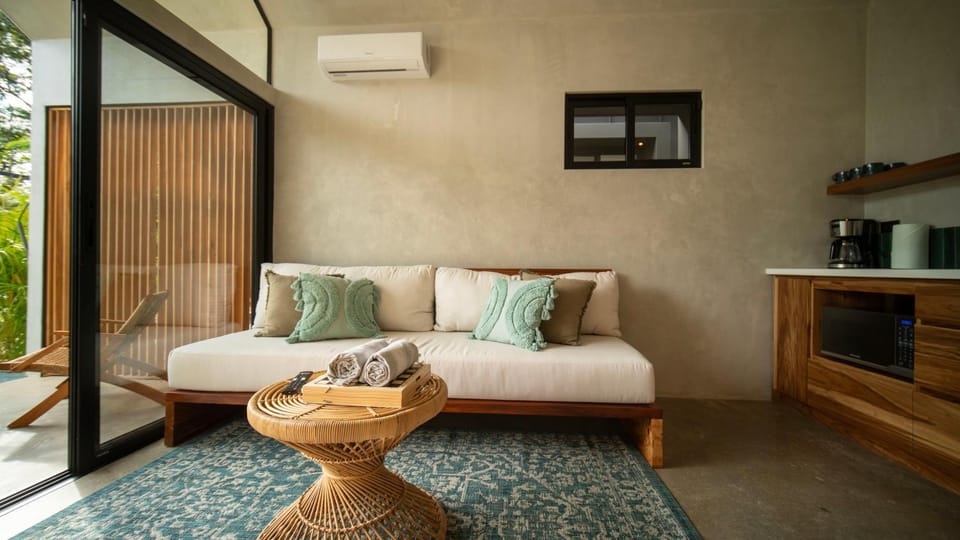 Living room, Seating area, air conditioner