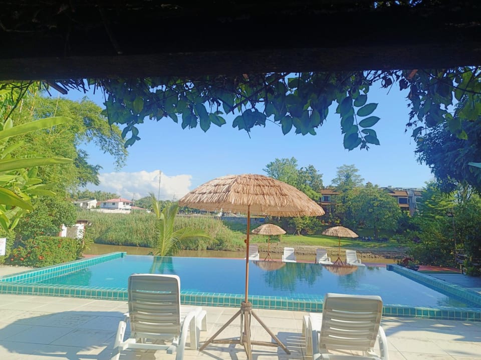 Patio, Day, Natural landscape, Garden view, Pool view, Swimming pool, sunbed