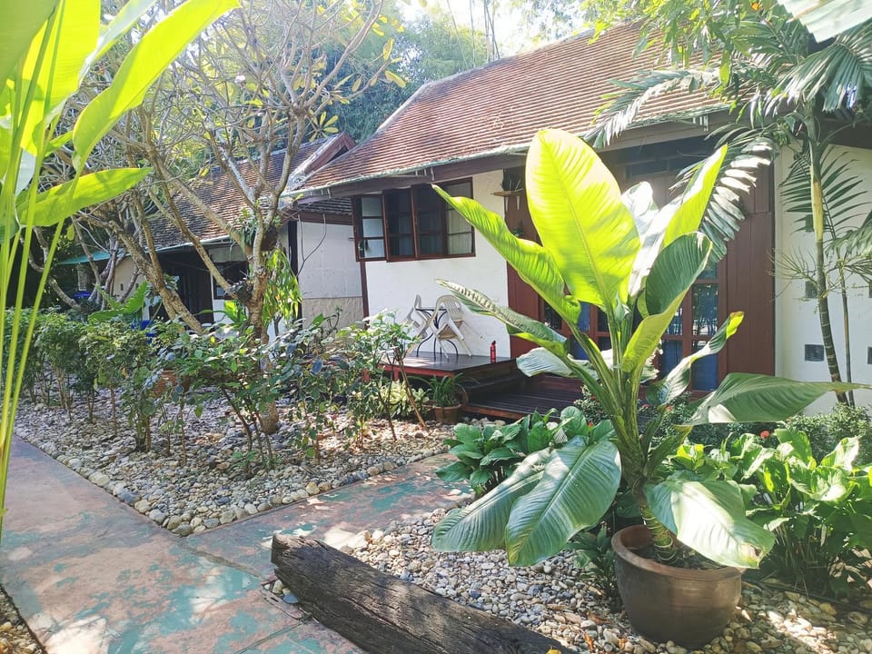 Property building, Day, Garden, Garden view