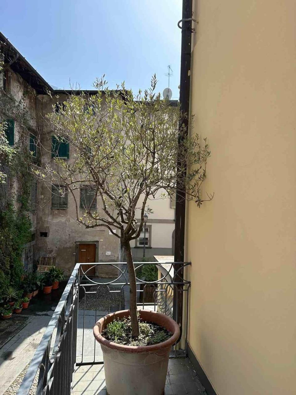View (from property/room), Balcony/Terrace, Garden view, Quiet street view