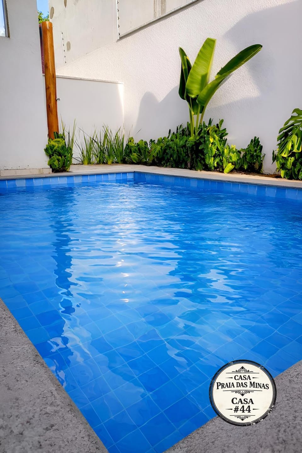 Day, Pool view, Swimming pool