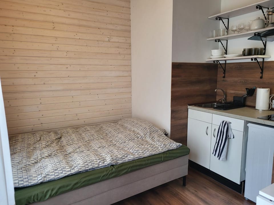 Kitchen or kitchenette, Living room, Dining area, Bedroom, washing machine