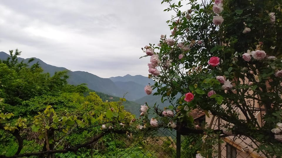 Natural landscape, Mountain view