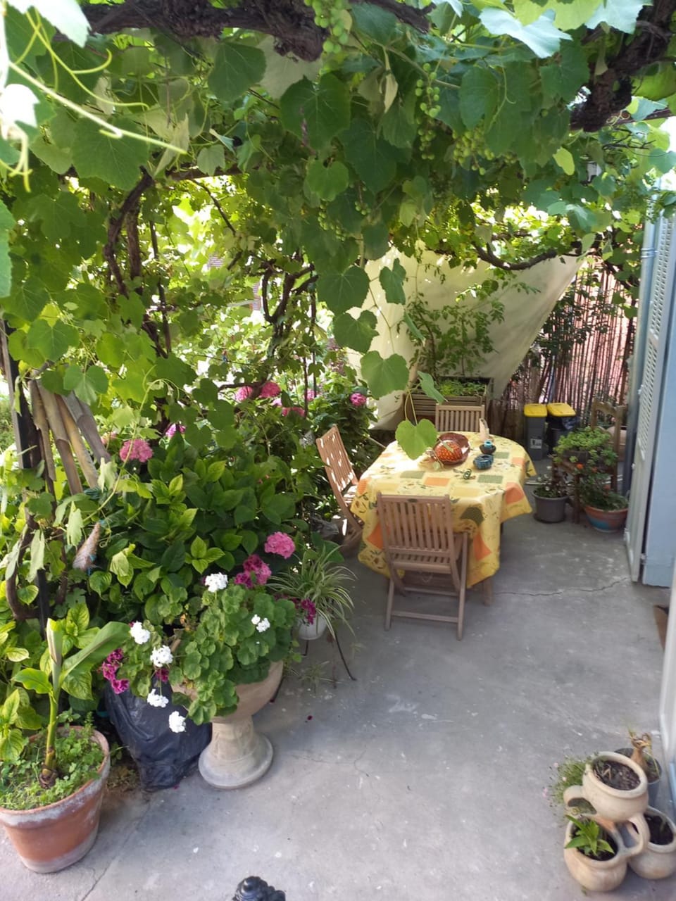 Patio, Balcony/Terrace