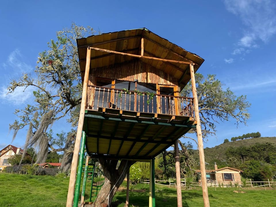 Casa del árbol Amadeus Guatavita House in Cundinamarca, Colombia