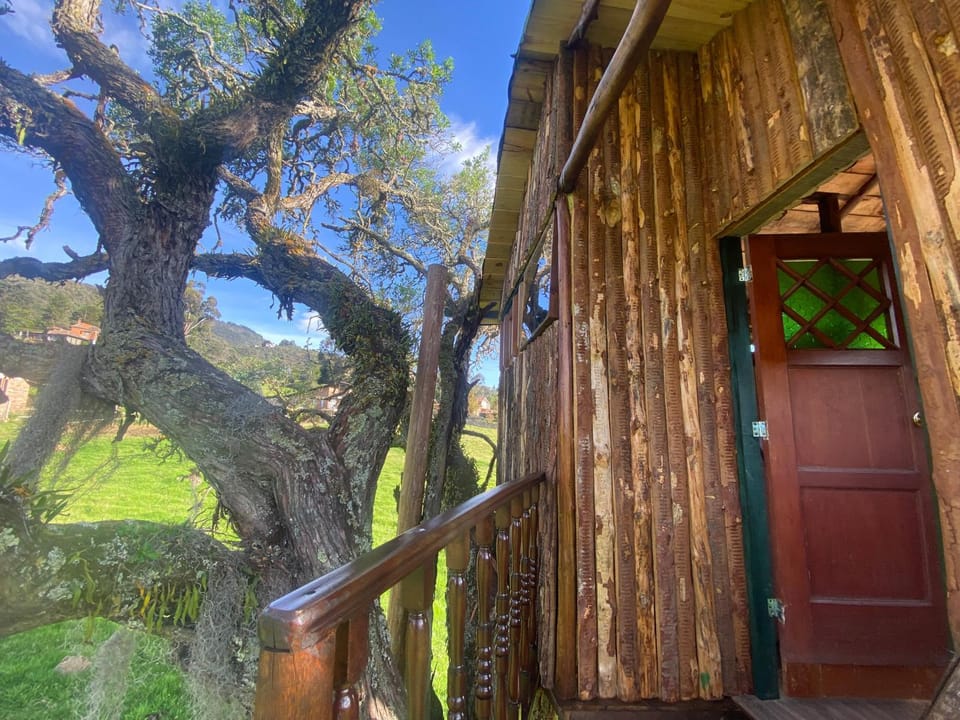 Casa del árbol Amadeus Guatavita House in Cundinamarca, Colombia