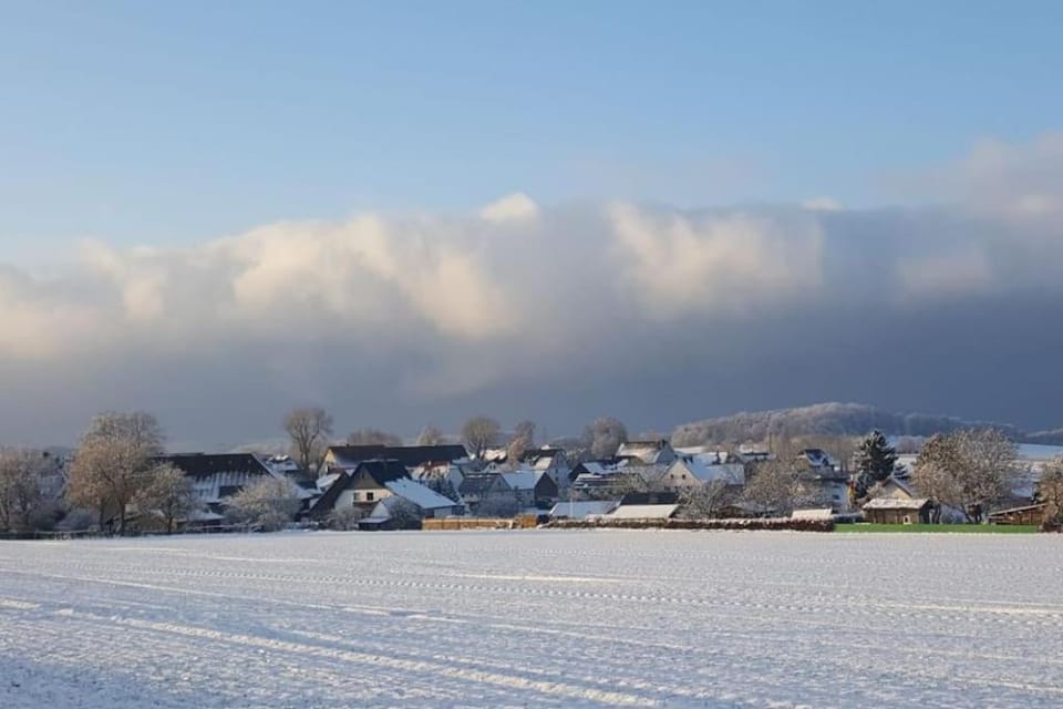 Natural landscape