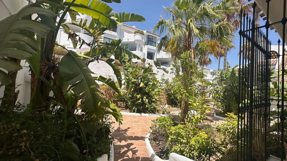Garden view
