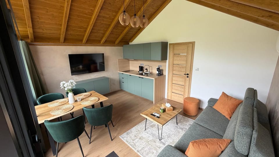 Communal lounge/ TV room, TV and multimedia, Kitchen or kitchenette, Living room, Seating area, Dining area
