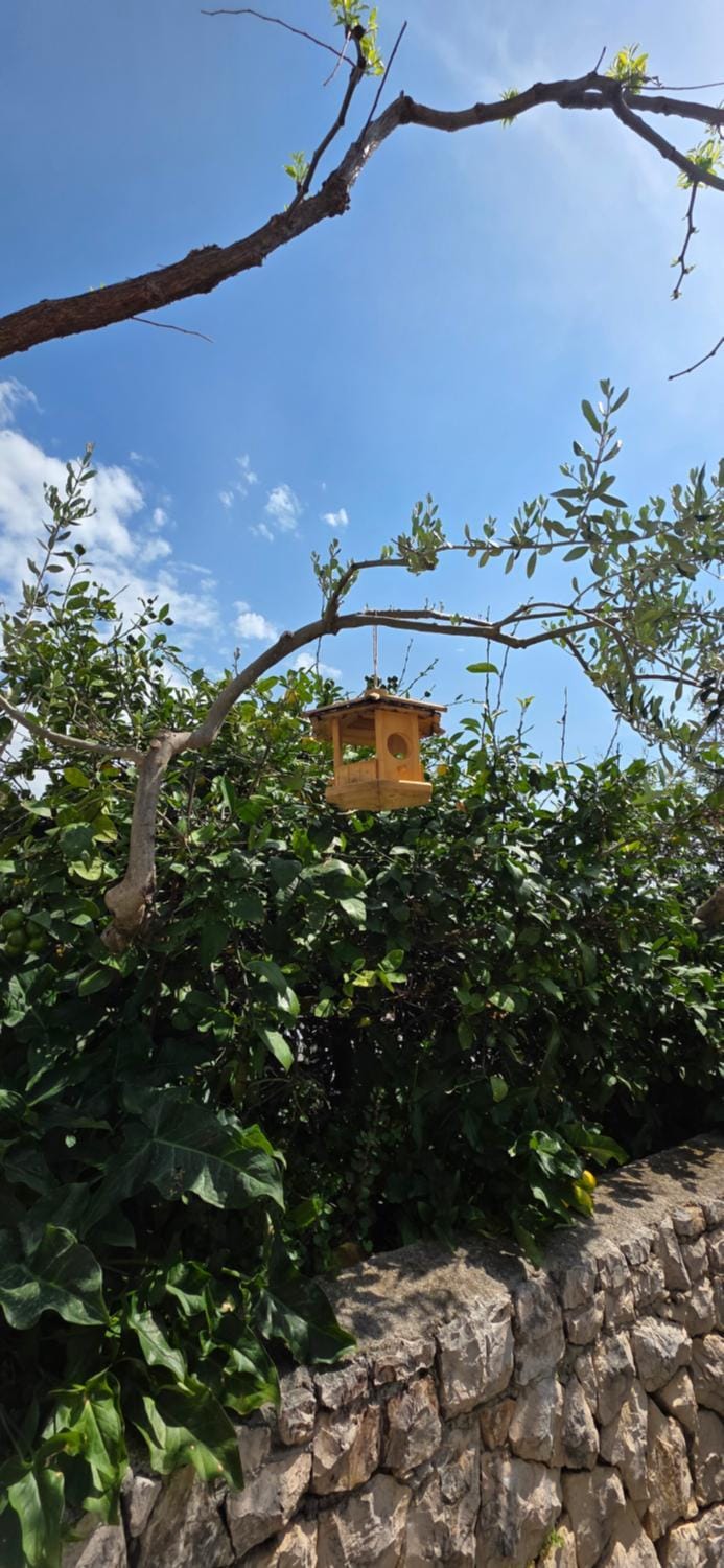 Spring, Natural landscape