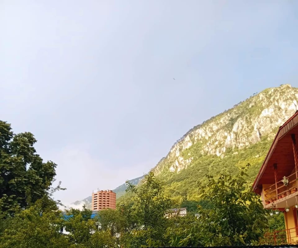 Apartament Costescu 2 Apartment in Serbia