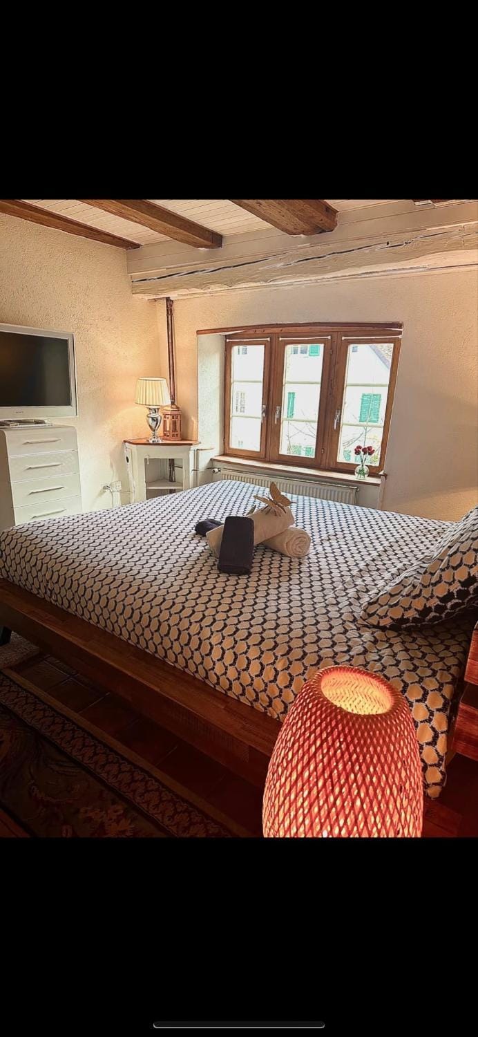 Le Spacieux en vieille ville Apartment in Switzerland
