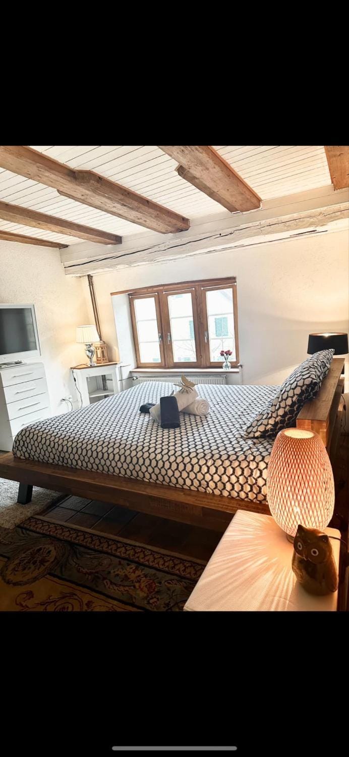 Le Spacieux en vieille ville Apartment in Switzerland