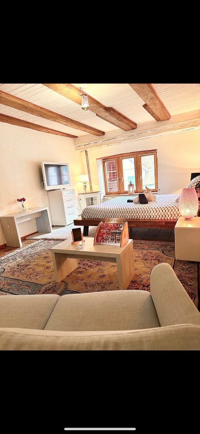 Le Spacieux en vieille ville Apartment in Switzerland