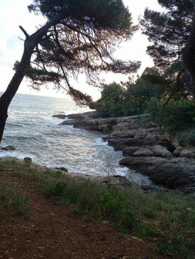 Apartmani Eman Vacation rental in Ulcinj