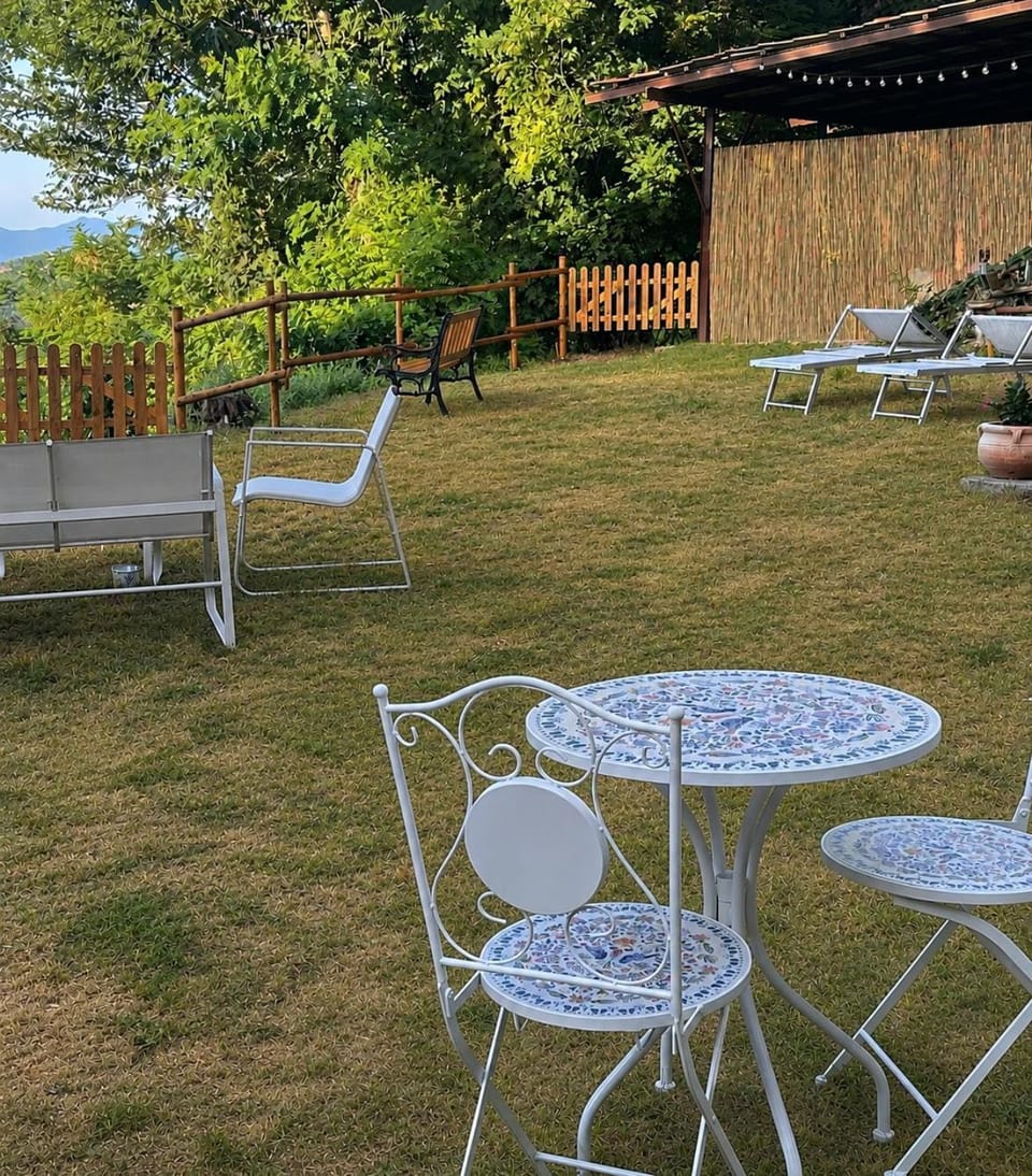 Spring, Garden, Garden view, sunbed