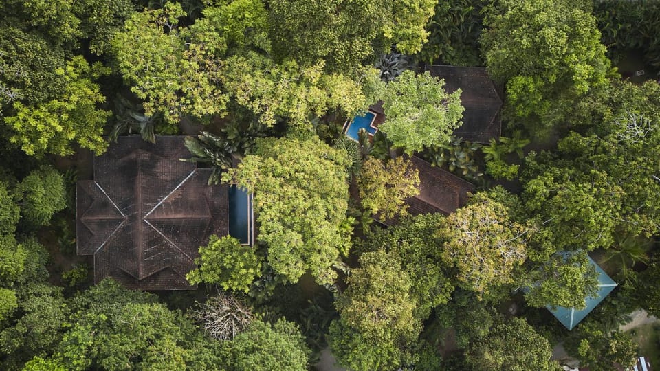 Patio, Garden, Garden view
