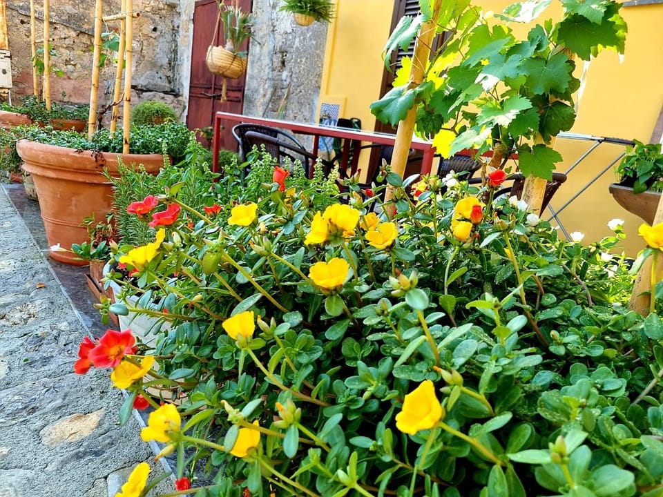Spring