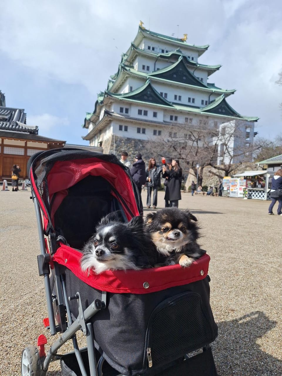 ペットも泊まれる小さなお宿虎凜Korin Apartment hotel in Nagoya