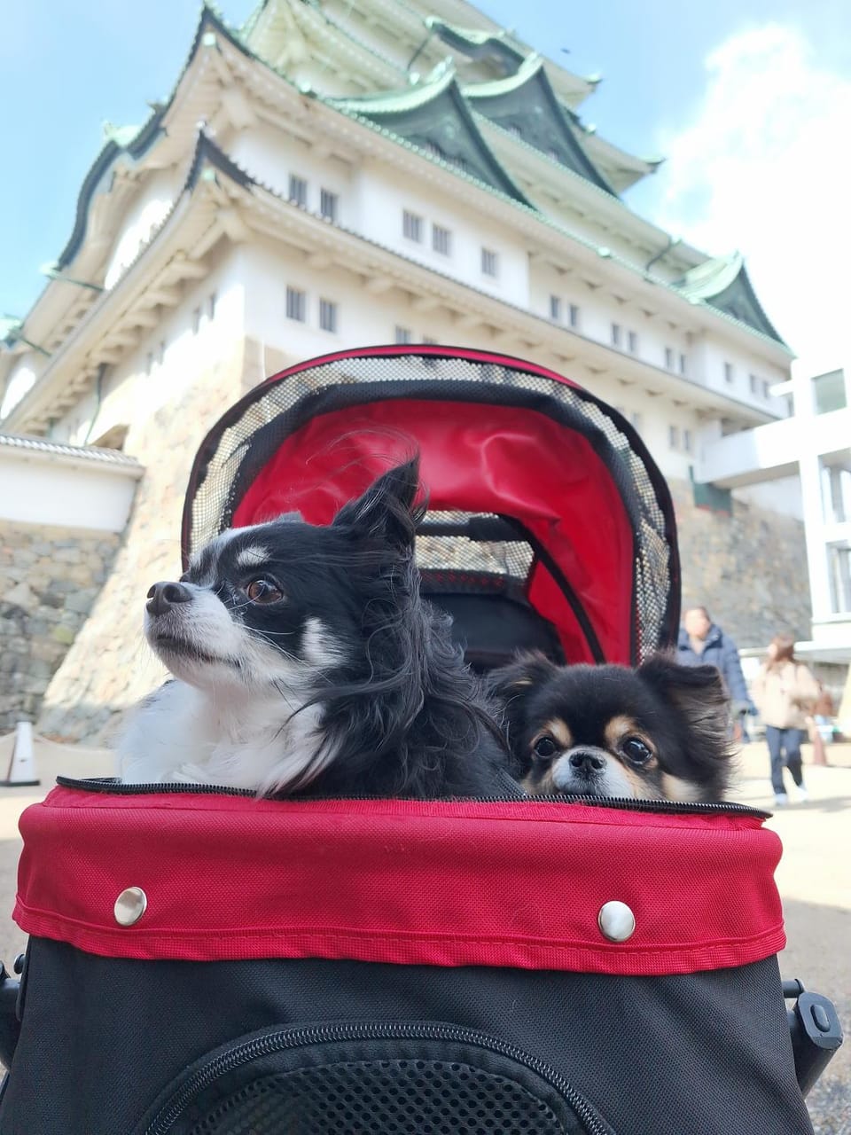 ペットも泊まれる小さなお宿虎凜Korin Apartment hotel in Nagoya