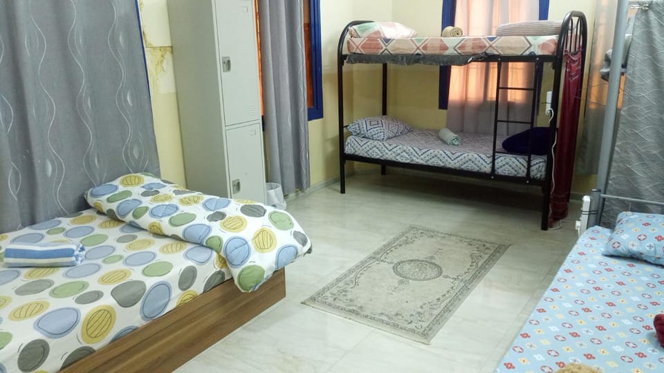 Bed, Photo of the whole room, Bedroom, bunk bed