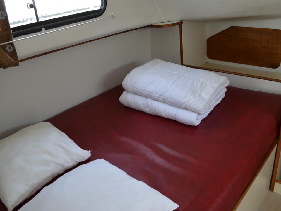 Séjour exclusif à bord du Triton 860 Fly - API-1-46-16 Docked boat in Jura