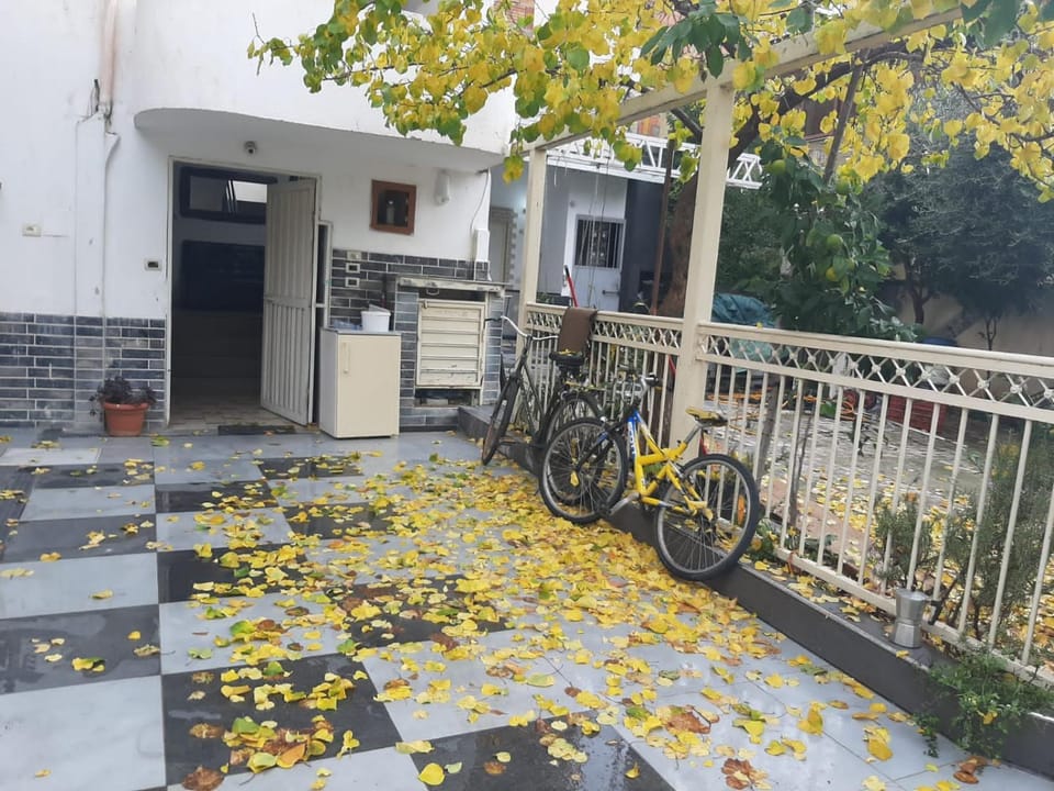 Lively apparament 1a Apartment in Tirana
