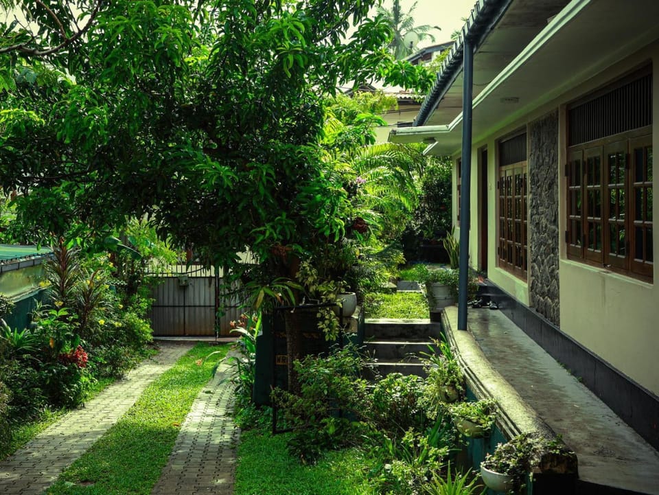 Garden view