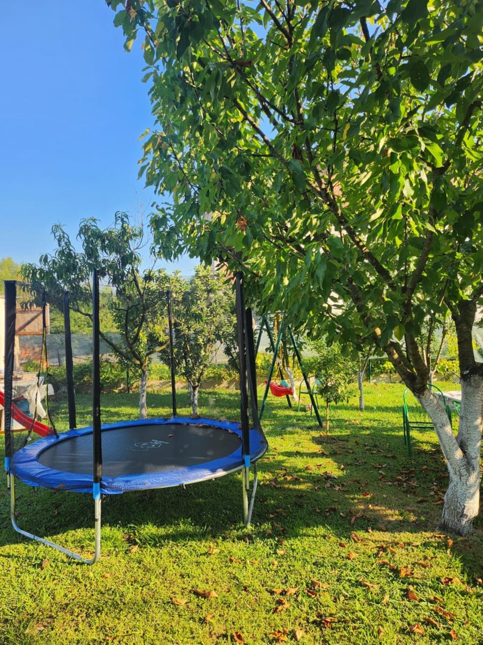 Lena Apartman Apartment in Budva Municipality