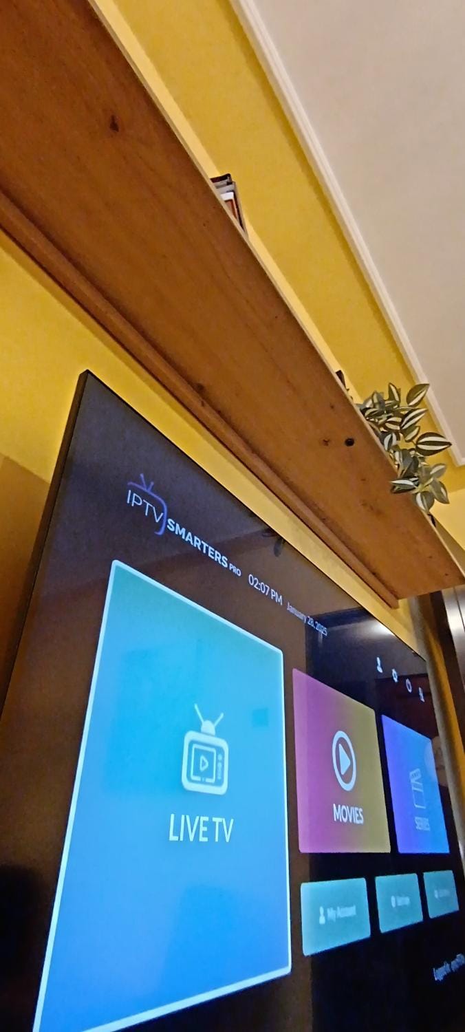 TV and multimedia, Evening entertainment