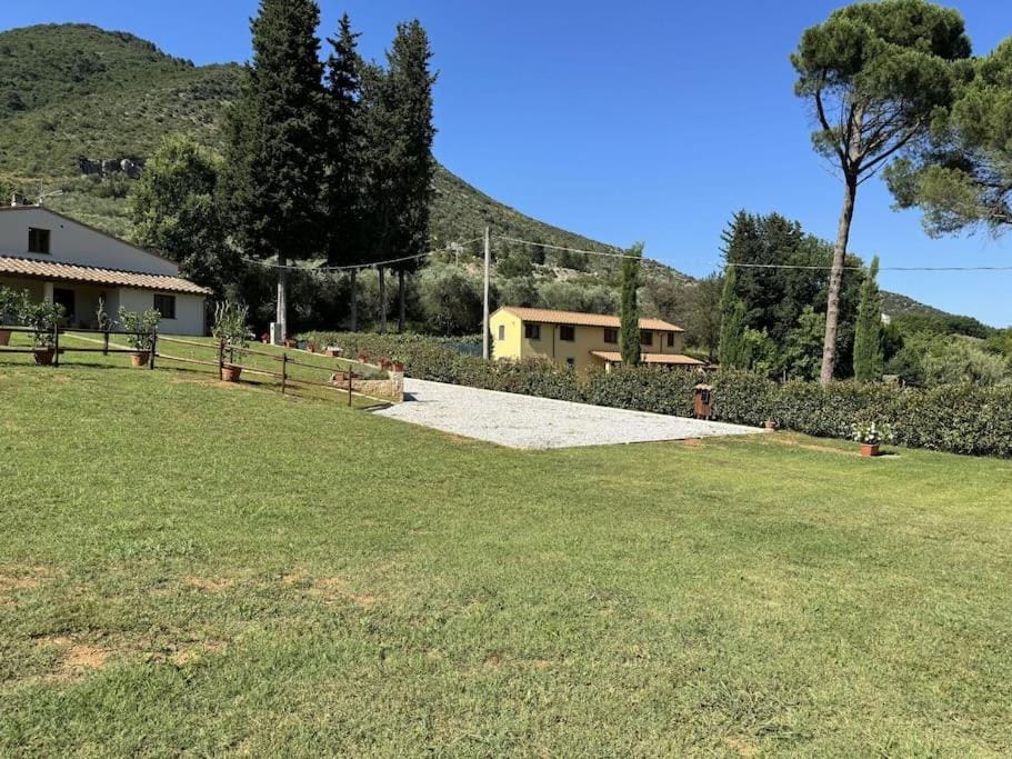Day, Natural landscape, Garden, Garden view