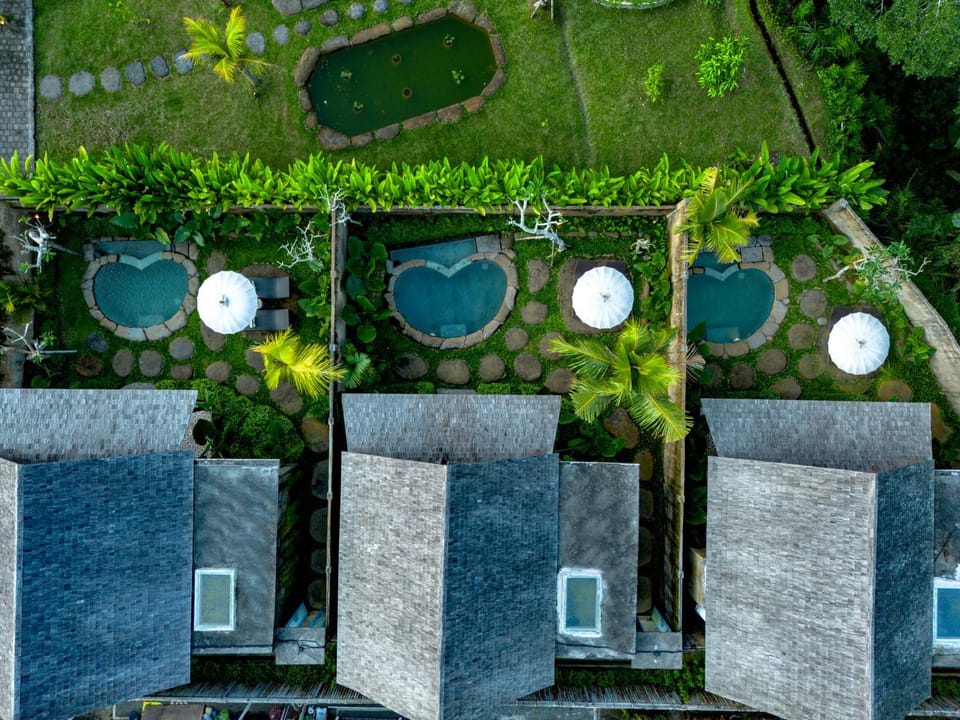 Property building, Day, Natural landscape, Bird's eye view, Garden, Garden view